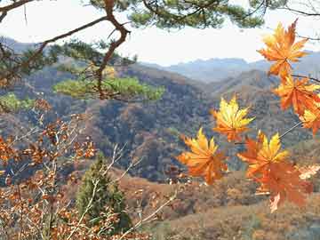 昆山光芒热水器售后维修(昆山光芒热水器售后维修电话)